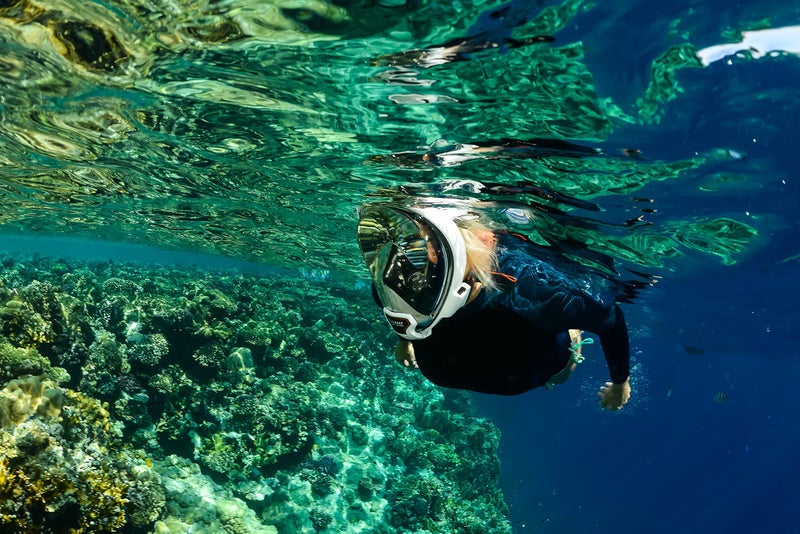 OCEANREEF OCEAN REEF - Aria QR+ Quick Release Full Face Snorkel Mask with Snorkel - 180 Degree Underwater View and Quick Release System (M/L, White). - Image 5